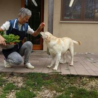 Teresa e Amì at Campo di Cielo in Cesiomaggiore