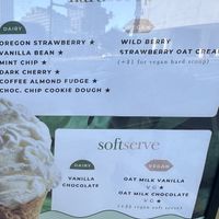 Well labeled vegan flavors  at Chill Ice Cream Shop in Rochester