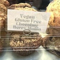Vegan GF chocolate berry muffin   at Olympia Coffee Roasting in Seattle