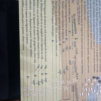   at Le Yeti in Toulouse