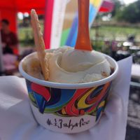 Vegan ice cream at IJskafee Diest in Diest