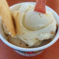 Vegan ice cream at IJskafee Diest in Diest