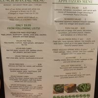 Vegan Lunch & Appetizer Menu at Thai Meal in Plantation