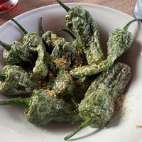 Padron peppers  at Viva Tapas y Pintxos in Estepona