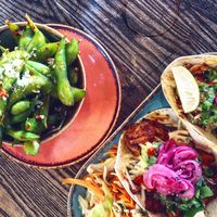 Chili edamame and Jackfruit (hoooot) tortilla (?) at Scania in Malmo
