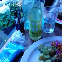 elder flour fizzy drink at The Plant Cafe in Exeter