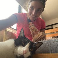   at Vegattos in Mexico City