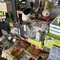   at Vegattos in Mexico City