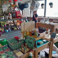  at Vegattos in Mexico City