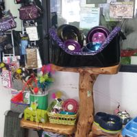 More goodies for cats! at Vegattos in Mexico City