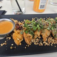 Dumplings at Pure Kitchen - Richmond Rd in Ottawa