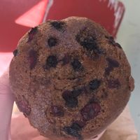 Vegan berry muffin at City Feed and Supply - Bolyston St in Jamaica Plain