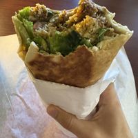 Vegan falafel wrap   at Hummus Hummus Middle Eastern Cuisine & Catering in Vancouver