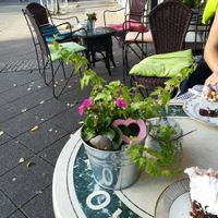 Outdoor seating at Veganalina in Hamm