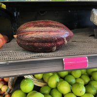 Cacao pod at Abundant Life Natural Foods in Hilo