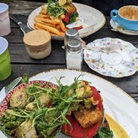  at The Shroom Room in Christchurch