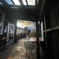 “"  at The Shroom Room in Christchurch