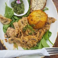  at The Shroom Room in Christchurch