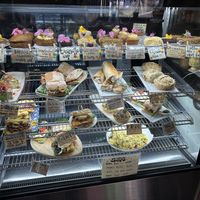 VG food   at The Shroom Room in Christchurch