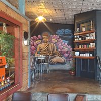  at The Shroom Room in Christchurch