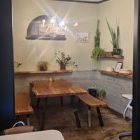  at The Shroom Room in Christchurch