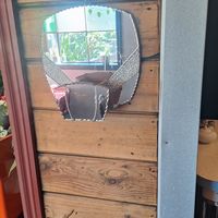  at The Shroom Room in Christchurch