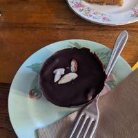  at The Shroom Room in Christchurch