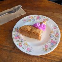  at The Shroom Room in Christchurch