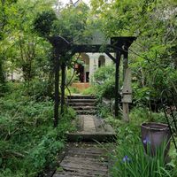 cafe garden at Cafe Sora in Jogasaki