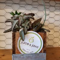 Tel.# at Juice and Java in Miami Beach