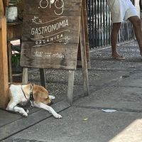   at Org Bistro in Rio De Janeiro