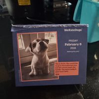 Atomic Coffee calendar by We Rate Dogs at Atomic Coffee in Fargo