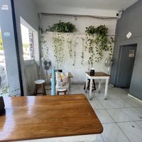   at Falafel Nessya in Playa Del Carmen