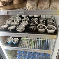 breads and desserts   at Akasha Home Restaurant in Koh Phangan