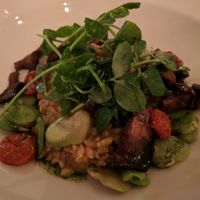 Entree - risotto with oyster mushrooms at Natural Gourmet Institute in New York City