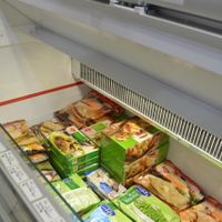 frozen section at Kailash Parbhat Super Market in Dubai