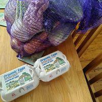 How it all looked when arrived: large veg box , extra salad leaves bag, 2 lemons, celery and 2 boxes of eggs: just over £30 all in. Left at front door, didn't see delivery person! at Mourne Manor Organics in Newcastle