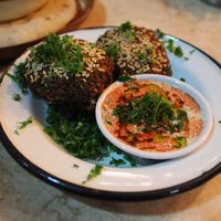 Falafel at Maha's Fine Egyptian Cuisine in Toronto