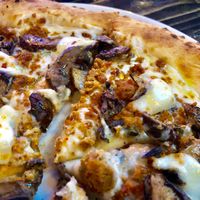 Mushroom pizza  at Pizzeoli in St Louis