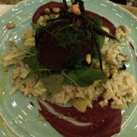 beetroot risotto plate  at Painted Elephant in Newcastle Upon Tyne