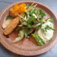 Chickpeas and Kale Koftas paraley sioli/fennel and apple salad. at Coca Sova in Dublin