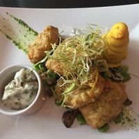 Schnitzel main at Coca Sova in Dublin