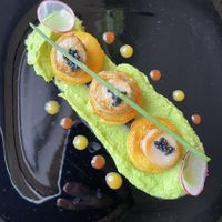 Starter: Oyster Mushroom Scallops over pea purée (mind blowing)  at Coca Sova in Dublin