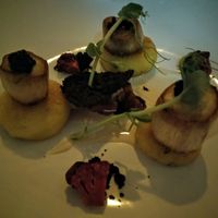 scallops at Coca Sova in Dublin