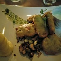 soya schnitzels at Coca Sova in Dublin