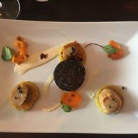 Skallops starter at Coca Sova in Dublin