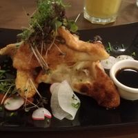 Starter at Coca Sova in Dublin