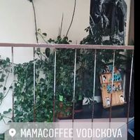 cute at Mamacoffee in Prague