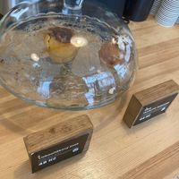  at Mamacoffee in Prague