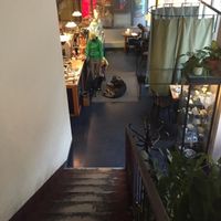 mamacoffee at Mamacoffee in Prague